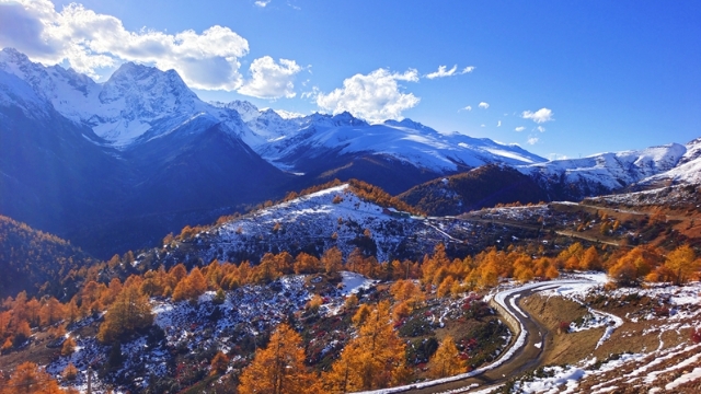 【香格里拉 · 秋】秋天最浪漫的邂逅白马雪山