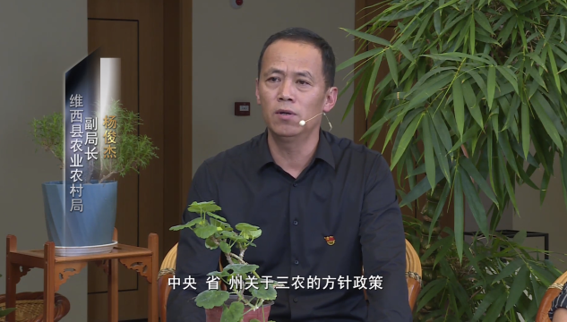 【一周一访谈93期】维西县涉农部门及相关企业负责人做客《一周一访谈》栏目