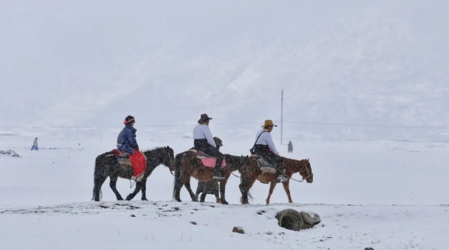 约吗?去香格里拉这个春天飘雪的地方