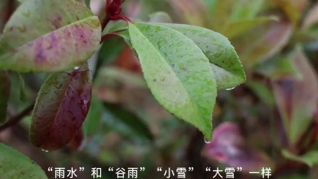 二十四节气 | 迪庆日报社藏语主播说节气:雨水