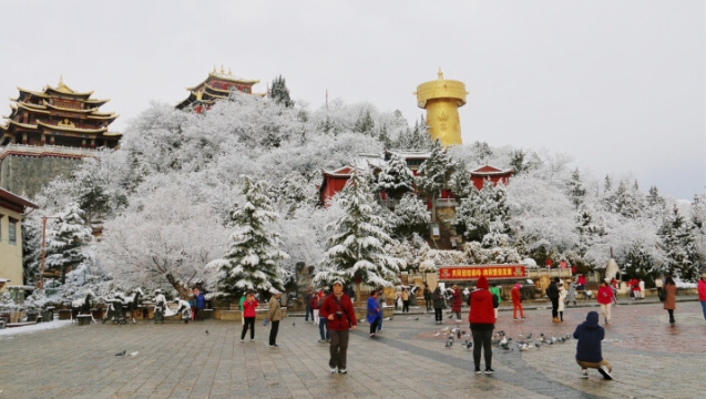 有一种叫云南的生活丨香格里拉春日有雪