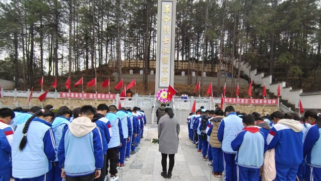 网络中国节·清明 | 维西县各单位开展清明节祭奠先烈活动