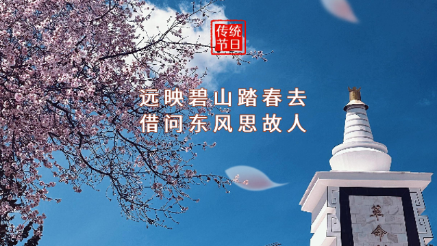 海报 | 网络中国节·清明：远映碧山踏春去 借问东风思故人