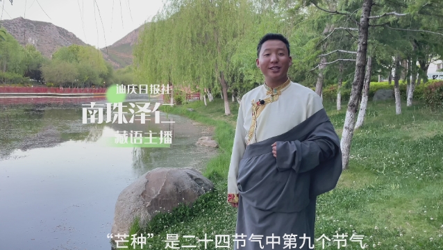 二十四节气 | 迪庆日报社藏语主播说节气：芒种