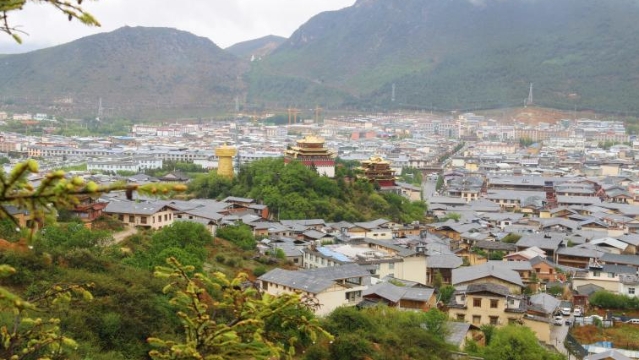 走进香格里拉雨后的山林