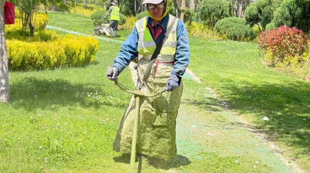 香格里拉为城市“梳妆”，绿化养护忙 