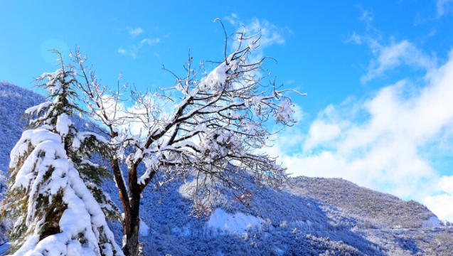 雪后德钦变身童话世界