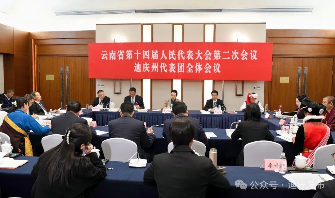 迪庆州代表团举行全体会议审议政府工作报告