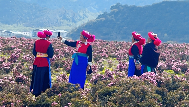 山花烂漫