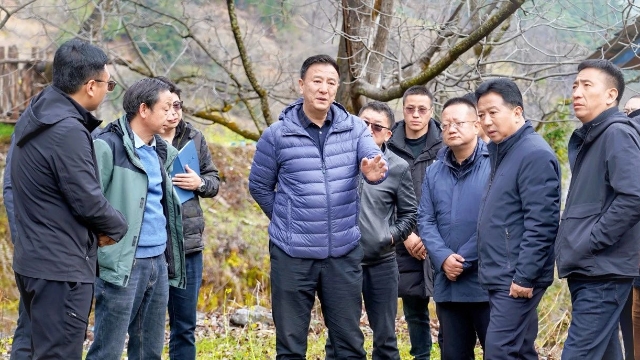 张卫东到维西县调研耕地保护、森林防火及地质灾害防治工作‌