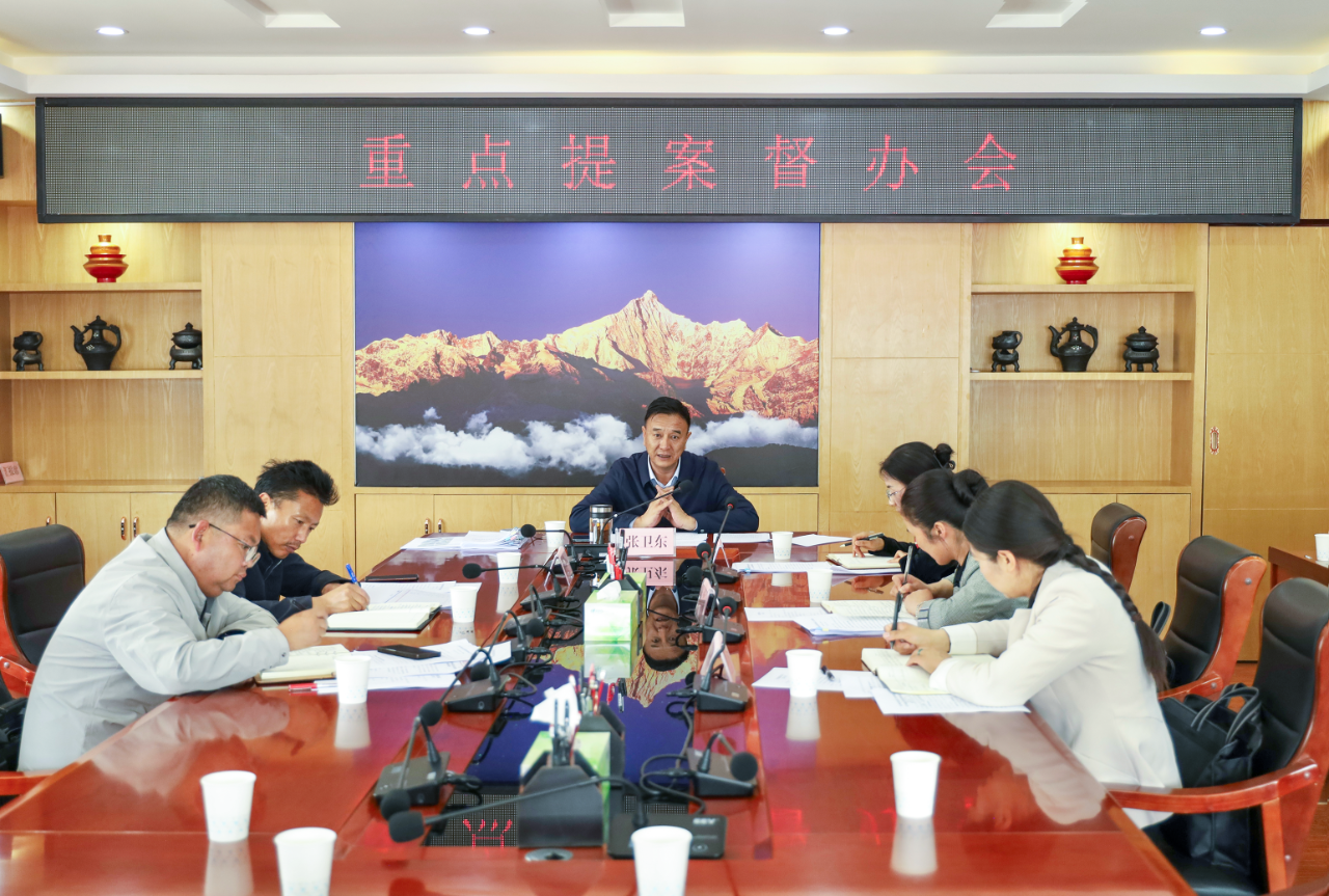 张卫东主持召开重点提案督办会