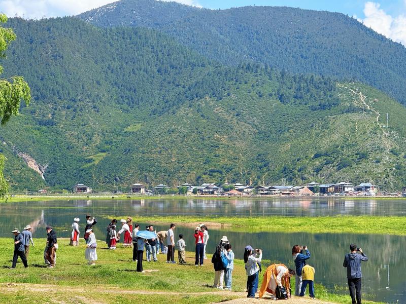 盛夏纳帕海：风光如画引客来 旅游红利惠民生