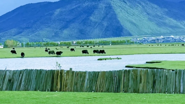 暑期“热度”不一样，香格里拉刚好19℃！