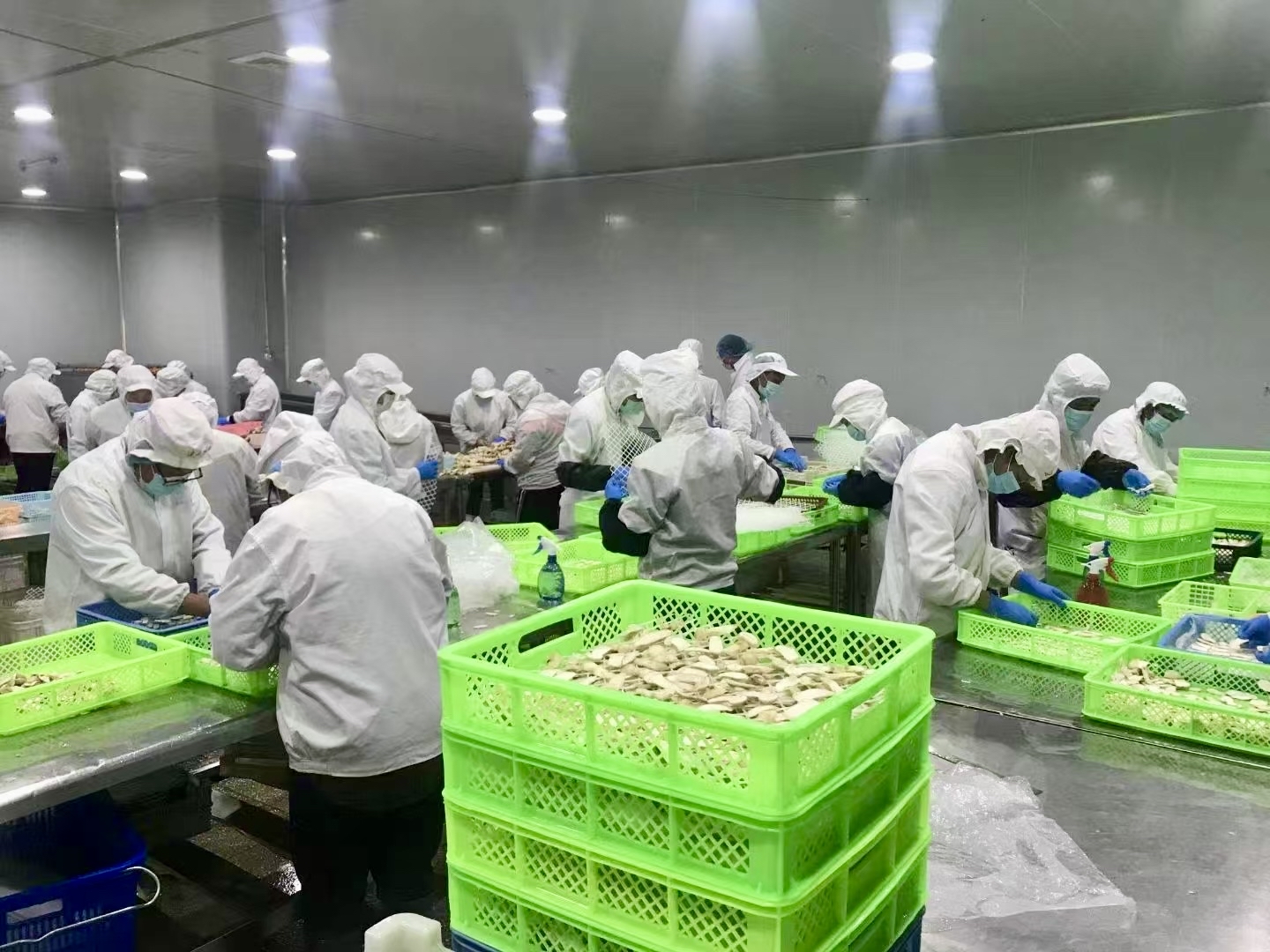 新时代 新征程 新伟业丨50载深耕铸就松茸产业传奇！迪庆这家企业让山珍走向世界，让乡亲扎根家乡