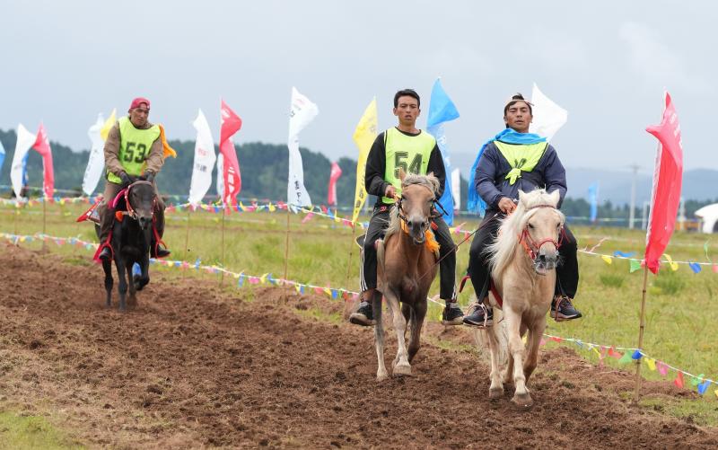 小中甸传统赛马竞逐 民俗文旅助力乡村振兴