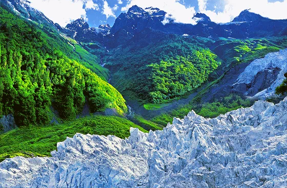 深入践行“绿水青山就是金山银山”理念绘就生态保护与经济发展共赢新图景