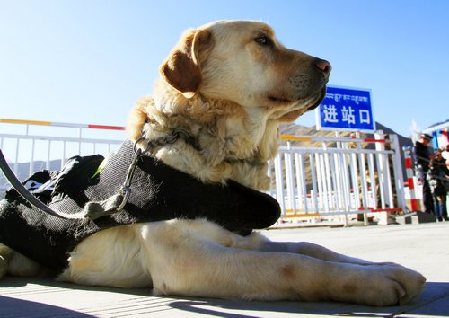 客流较少时科比总是这样休息
