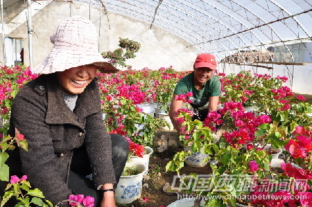 花卉种植户正在照料鲜花