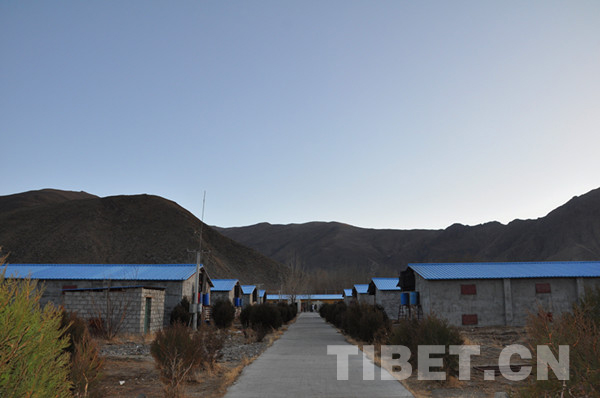 益西卓嘎和湖北籍丈夫甘学东打造的高原禽类养殖基地。