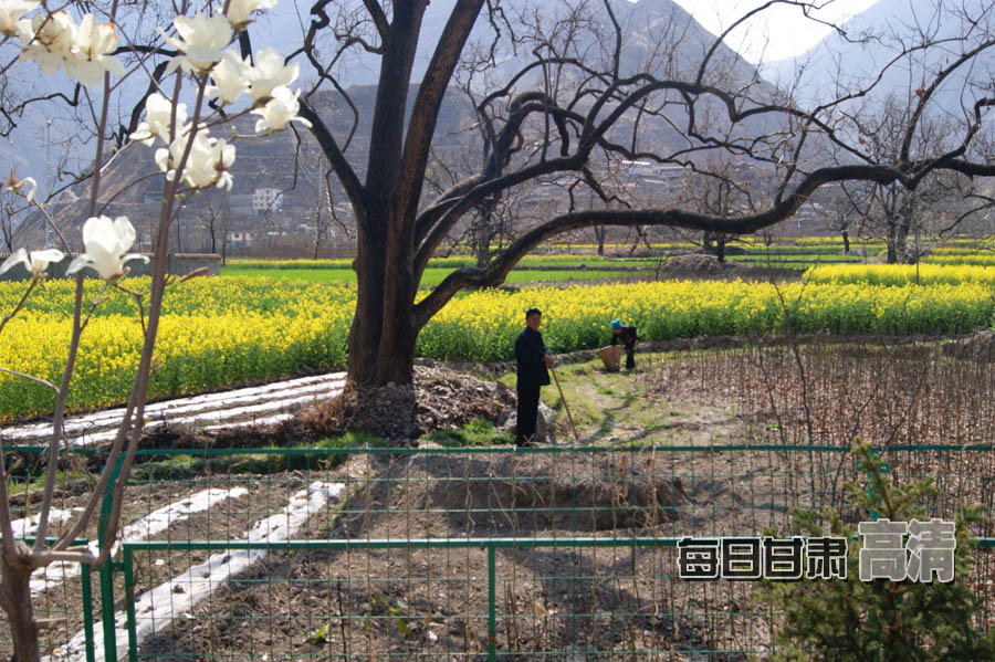 瓜咱坝村农民在田地里劳作