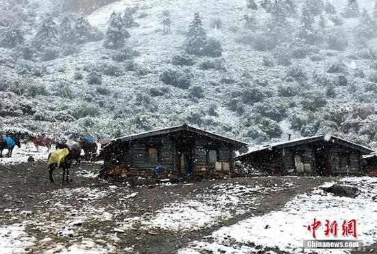 四川甘孜州稻城亚丁九月飘雪银装素裹(图)