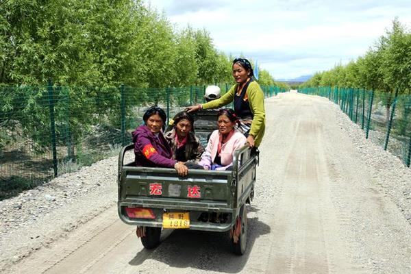 【中国梦·实践者】藏族女护林员：身怀六甲 依然巡园修剪