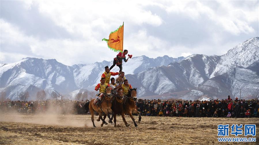 （体育）（2）乡村马术表演 把欢乐带到西藏田间地头