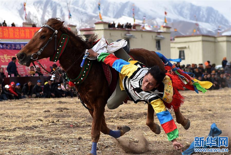 （体育）（4）乡村马术表演 把欢乐带到西藏田间地头