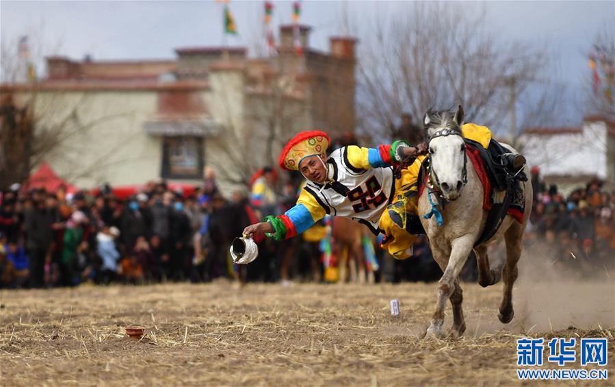 （体育）（5）乡村马术表演 把欢乐带到西藏田间地头