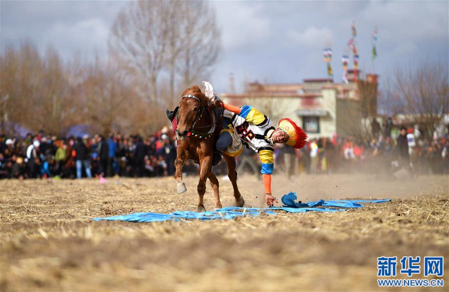 （体育）（6）乡村马术表演 把欢乐带到西藏田间地头
