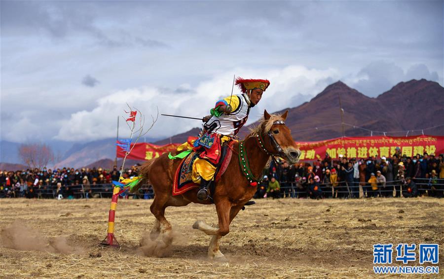 （体育）（7）乡村马术表演 把欢乐带到西藏田间地头
