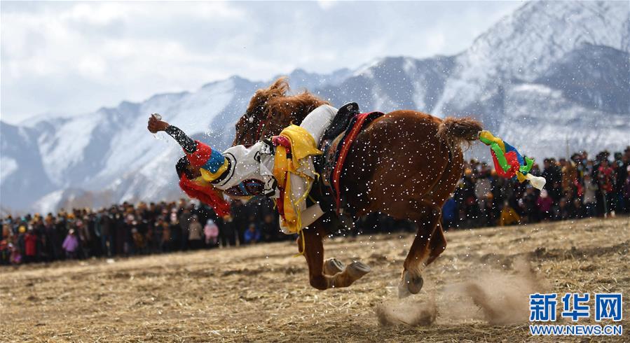 （体育）（9）乡村马术表演 把欢乐带到西藏田间地头