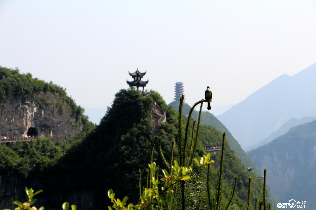 云阳龙缸景区秀丽的风景吸引着不少外地游客