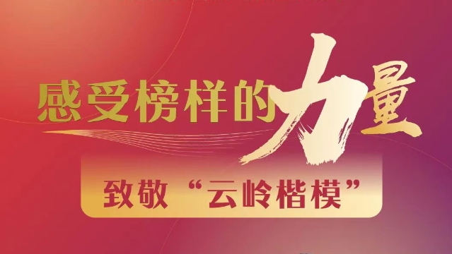 【云岭楷模】感受榜样的力量