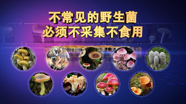 食菌须谨慎 小心防中毒