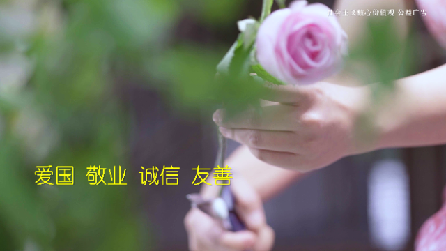 【公益广告】社会主义核心价值观