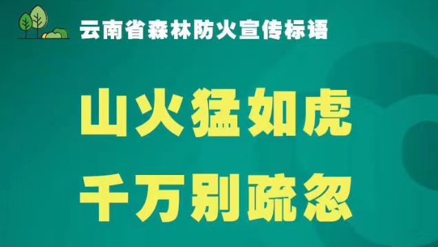 云南森林防火宣传标语