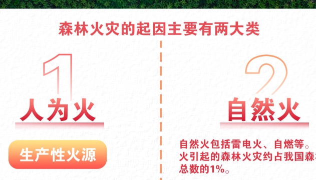 公益广告 | 森林防火4